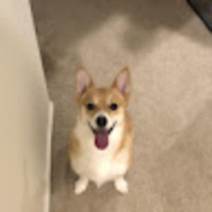 Meet your Posher, Zach